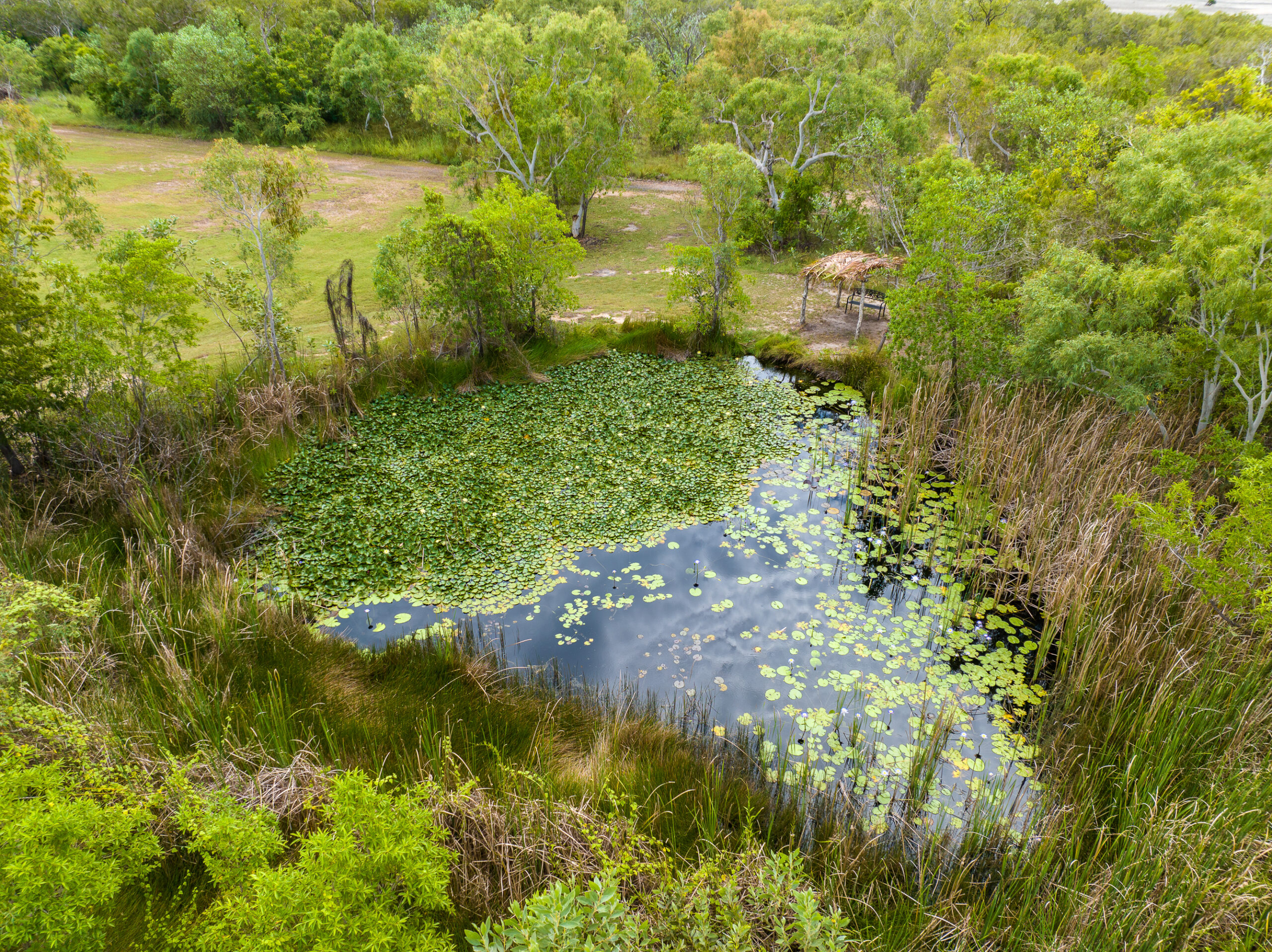 Artesian Spring BWG