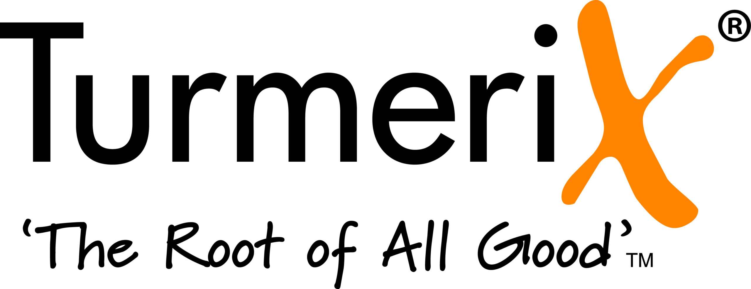 TurmeriX