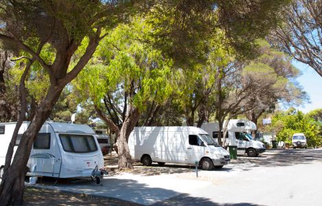 33614_discovery_parks_coogee_beach_powered_tent_site-1