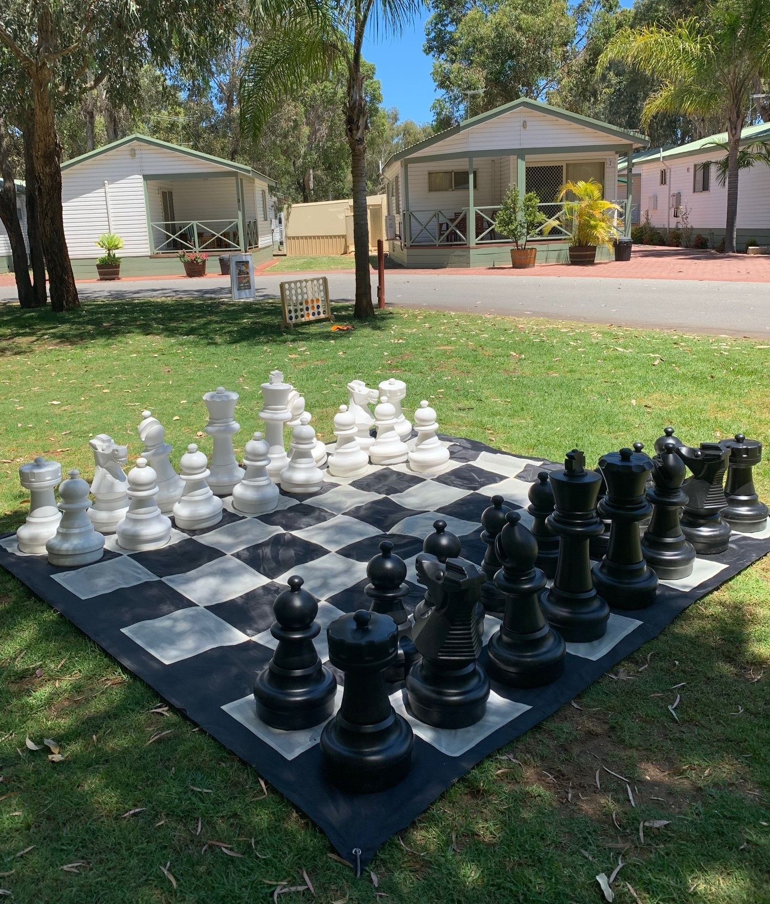 Cabins-Chess-1.jpga_-1