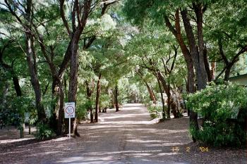 Park-024-1-1