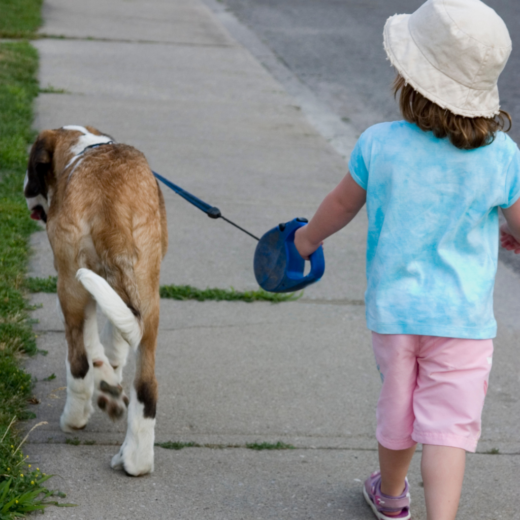 dog-walking-in-the-park-1024x1024-1-1