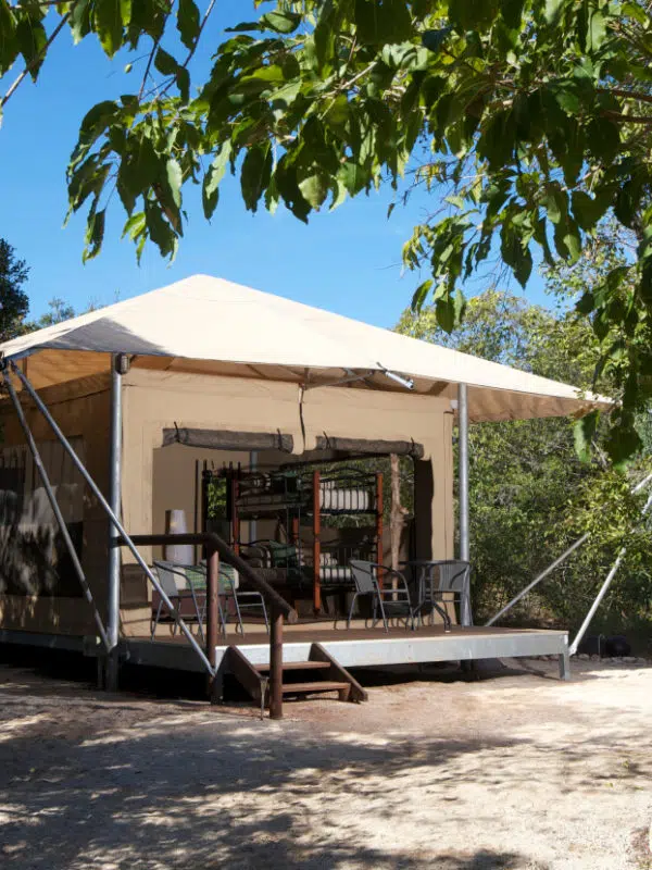 Family-Rainforest-Safari-Tent-1-600x800.jpg