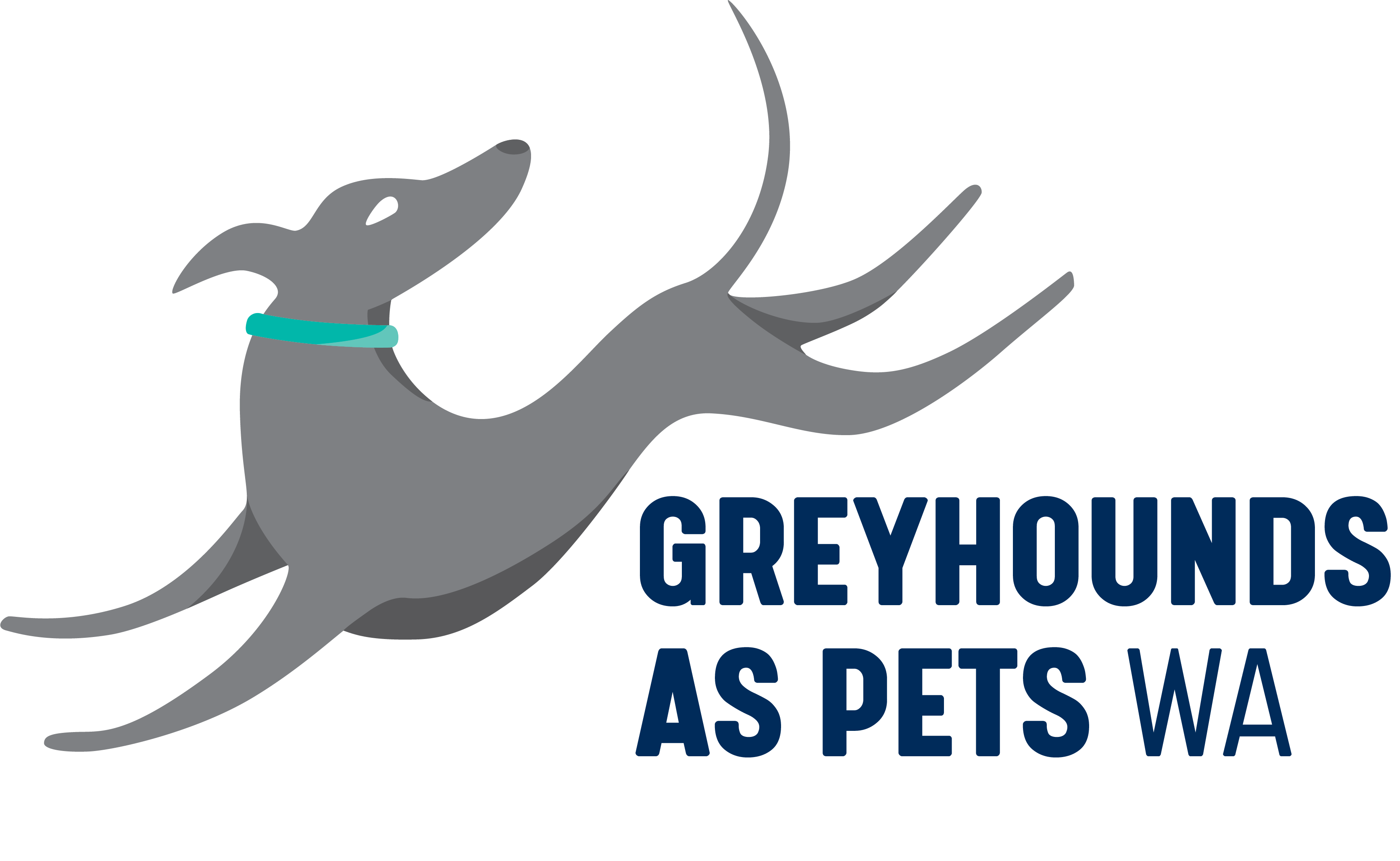 Greyhounds As Pets WA